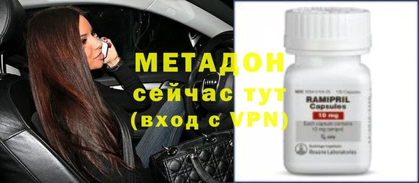 трава Аркадак
