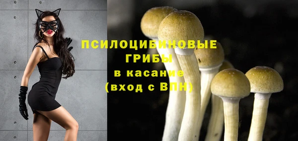 каннабис Арсеньев