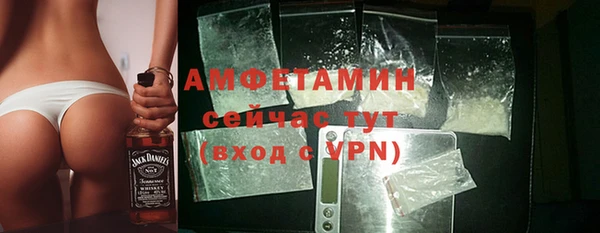 трава Аркадак