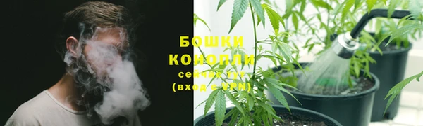 каннабис Арсеньев