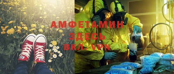 трава Аркадак