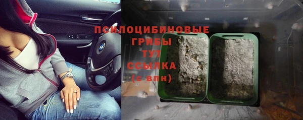 трава Аркадак