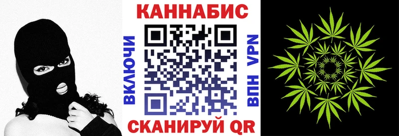 МАРИХУАНА сатива Багратионовск